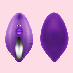 200g 小さな振動器 セックストイ 女性 Gスポットパンティ クリトラル吸い刺激器 20×5×12cm