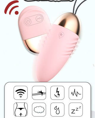 振動する卵 リモートセックスの振動器 10速制御ボール ワイヤレス振動器 女性用